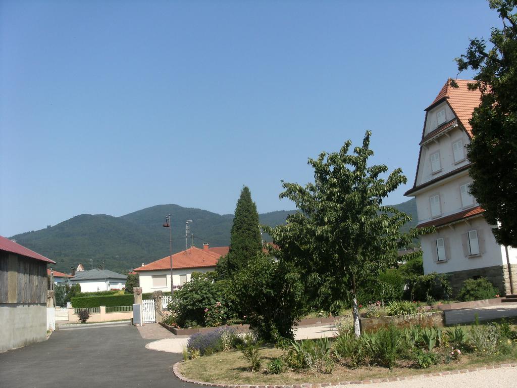 Gite Des Alisiers Wattwiller Buitenkant foto